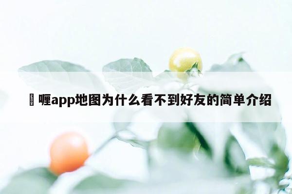 啫喱app地图为什么看不到好友的简单介绍