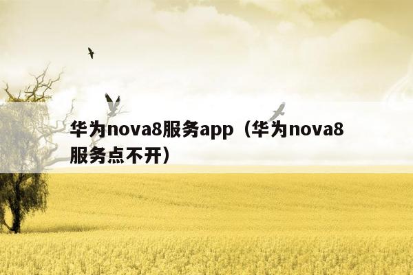 华为nova8服务app（华为nova8服务点不开）