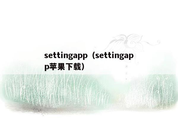 settingapp（settingapp苹果下载）