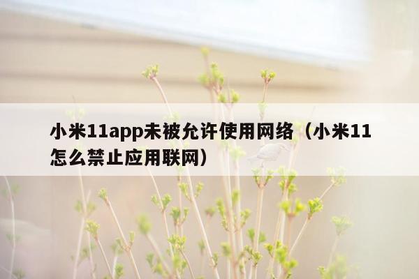 小米11app未被允许使用网络（小米11怎么禁止应用联网）