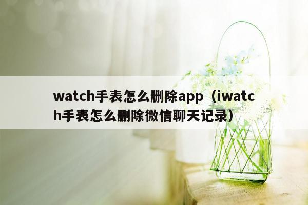 watch手表怎么删除app（iwatch手表怎么删除微信聊天记录）