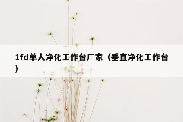 1fd单人净化工作台厂家（垂直净化工作台）