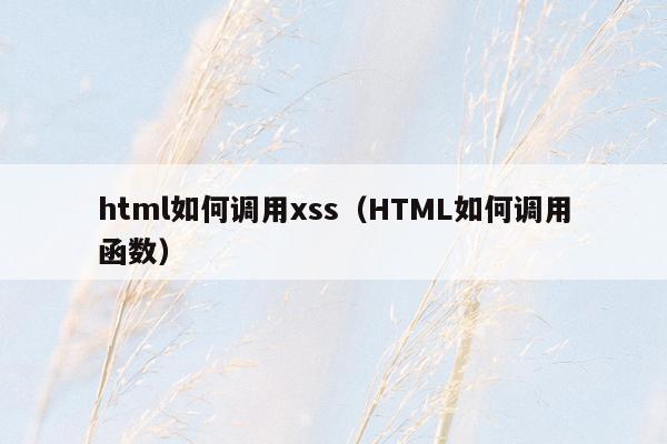 html如何调用xss（HTML如何调用函数）