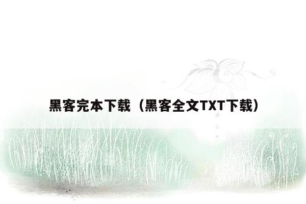 黑客完本下载（黑客全文TXT下载）