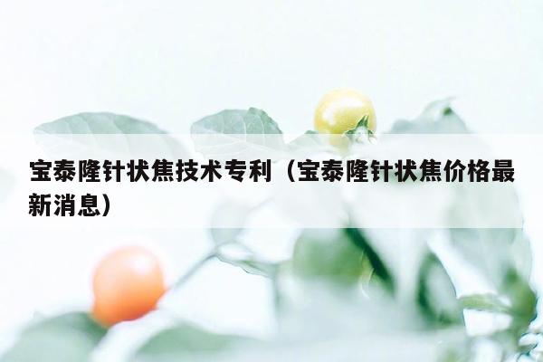 宝泰隆针状焦技术专利（宝泰隆针状焦价格最新消息）