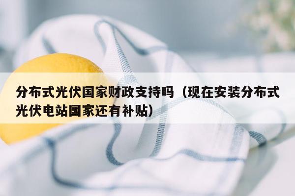 分布式光伏国家财政支持吗（现在安装分布式光伏电站国家还有补贴）