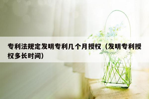 专利法规定发明专利几个月授权（发明专利授权多长时间）