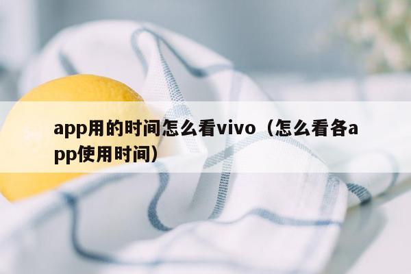 app用的时间怎么看vivo（怎么看各app使用时间）