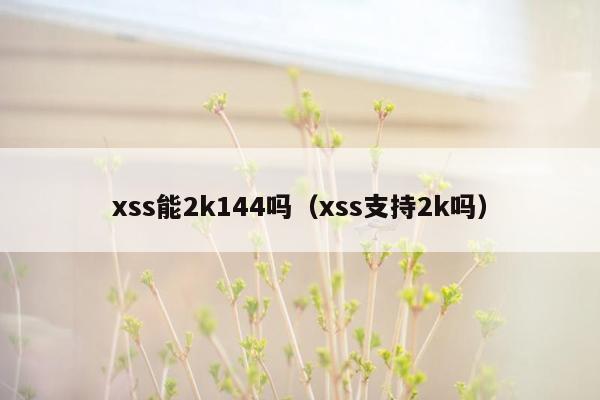 xss能2k144吗（xss支持2k吗）