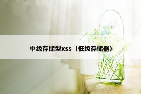 中级存储型xss（低级存储器）