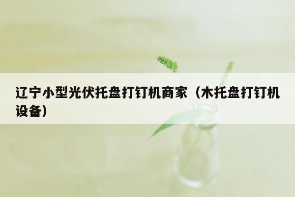 辽宁小型光伏托盘打钉机商家（木托盘打钉机设备）