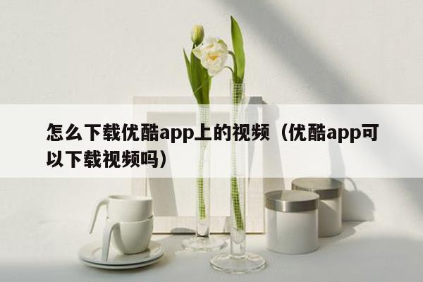 怎么下载优酷app上的视频（优酷app可以下载视频吗）