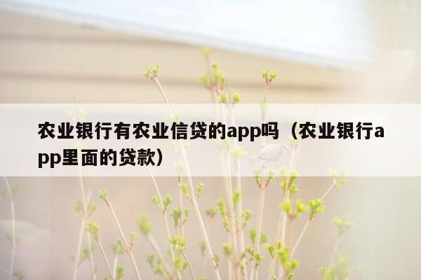 农业银行有农业信贷的app吗（农业银行app里面的贷款）