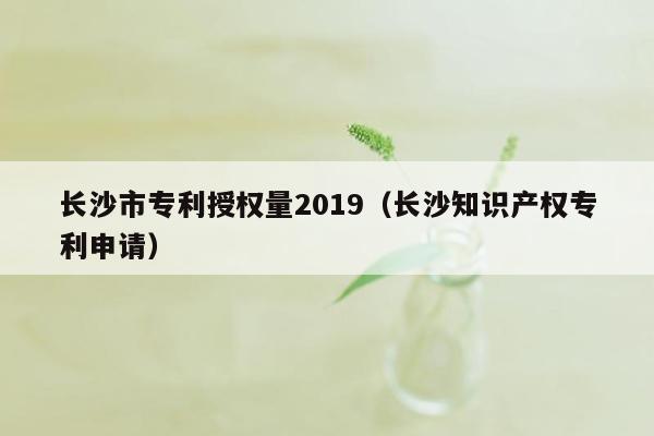 长沙市专利授权量2019（长沙知识产权专利申请）