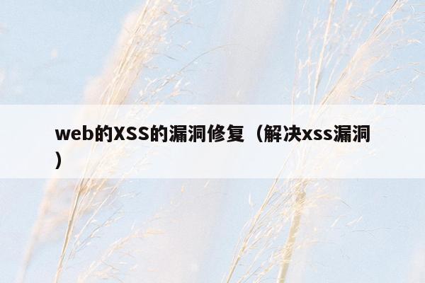 web的XSS的漏洞修复（解决xss漏洞）