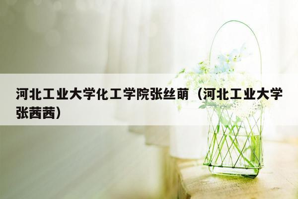 河北工业大学化工学院张丝萌（河北工业大学张茜茜）