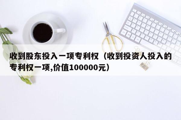 收到股东投入一项专利权（收到投资人投入的专利权一项,价值100000元）