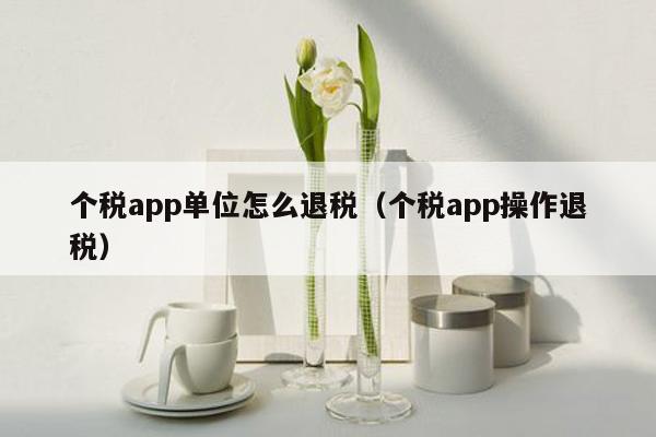 个税app单位怎么退税（个税app操作退税）