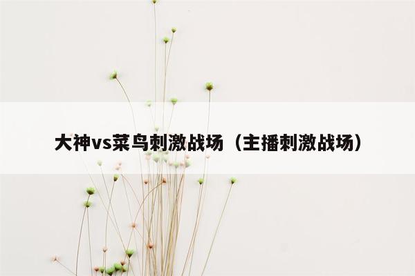 大神vs菜鸟刺激战场（主播刺激战场）