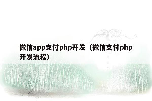 微信app支付php开发（微信支付php开发流程）