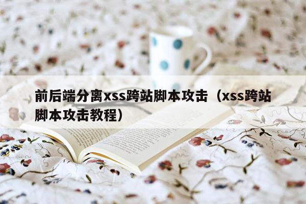 前后端分离xss跨站脚本攻击（xss跨站脚本攻击教程）