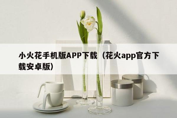 小火花手机版APP下载（花火app官方下载安卓版）