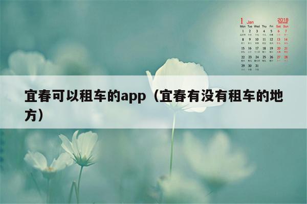 宜春可以租车的app（宜春有没有租车的地方）