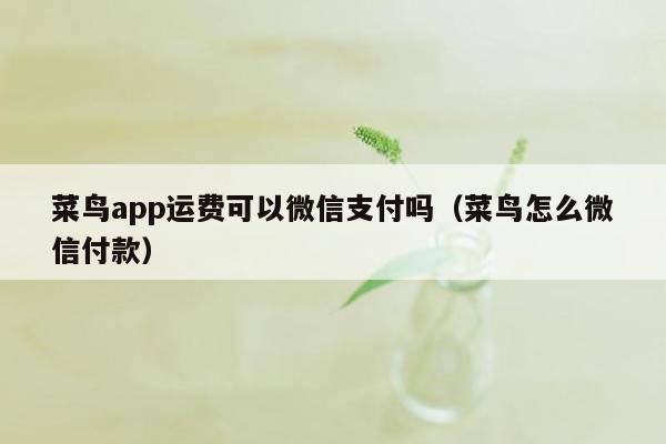 菜鸟app运费可以微信支付吗（菜鸟怎么微信付款）