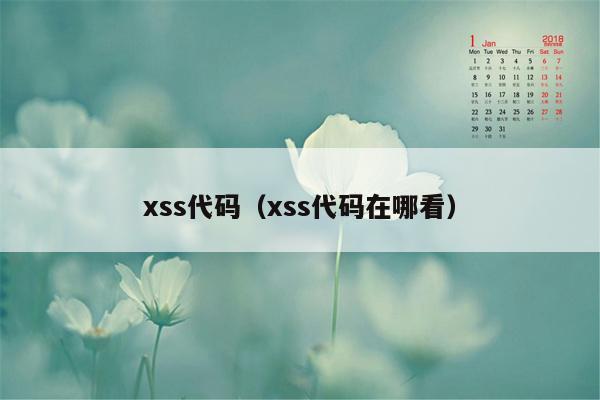 xss代码（xss代码在哪看）