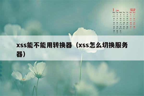 xss能不能用转换器（xss怎么切换服务器）