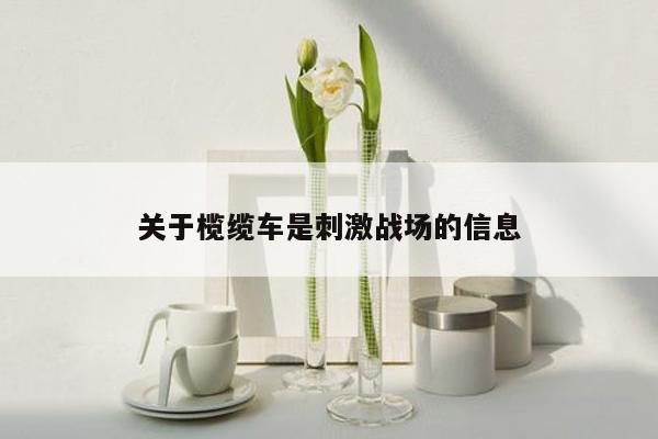 关于榄缆车是刺激战场的信息