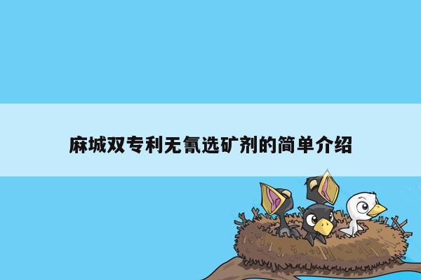 麻城双专利无氰选矿剂的简单介绍