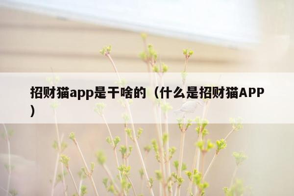 招财猫app是干啥的（什么是招财猫APP）