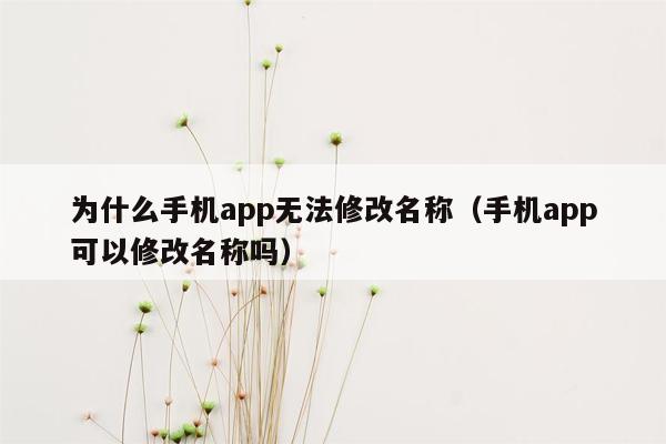 为什么手机app无法修改名称（手机app可以修改名称吗）