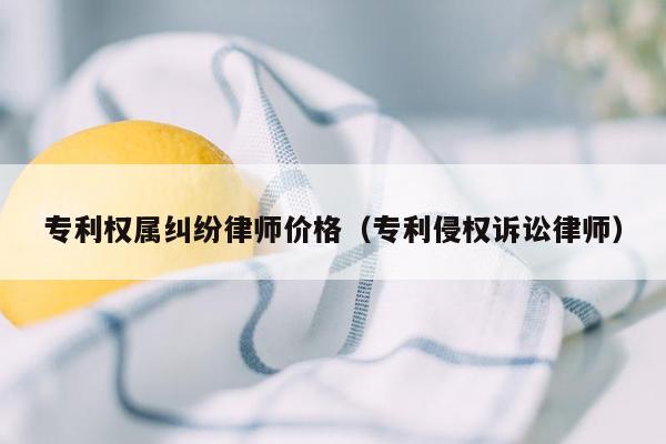 专利权属纠纷律师价格（专利侵权诉讼律师）