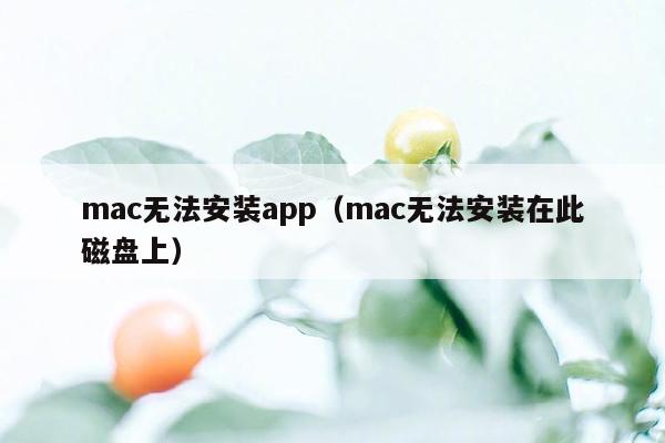 mac无法安装app（mac无法安装在此磁盘上）