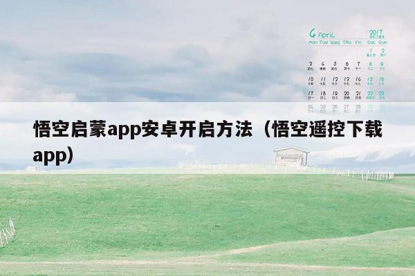 悟空启蒙app安卓开启方法（悟空遥控下载app）