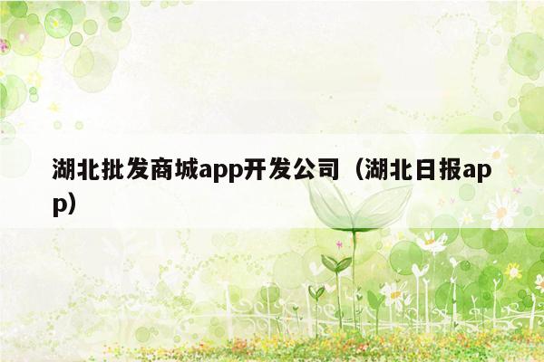 湖北批发商城app开发公司（湖北日报app）