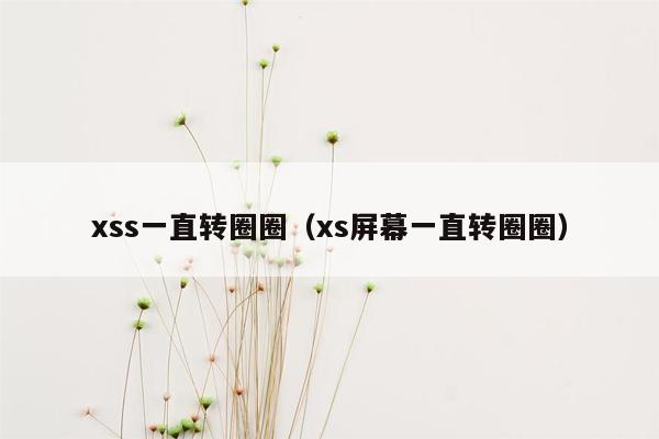 xss一直转圈圈（xs屏幕一直转圈圈）