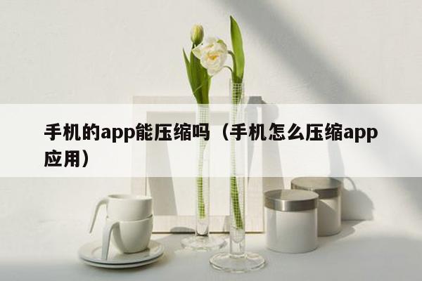 手机的app能压缩吗（手机怎么压缩app应用）