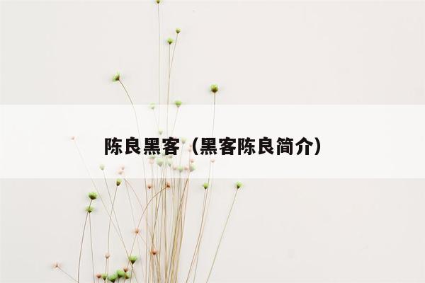 陈良黑客（黑客陈良简介）