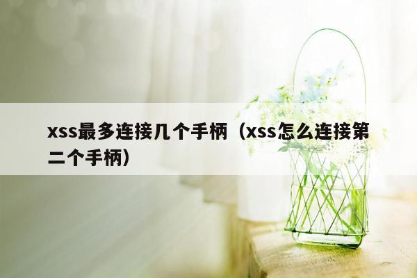 xss最多连接几个手柄（xss怎么连接第二个手柄）