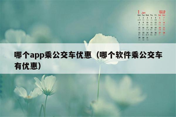 哪个app乘公交车优惠（哪个软件乘公交车有优惠）