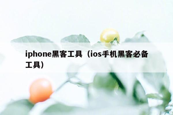 iphone黑客工具（ios手机黑客必备工具）