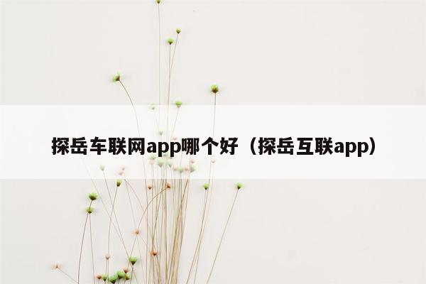 探岳车联网app哪个好（探岳互联app）