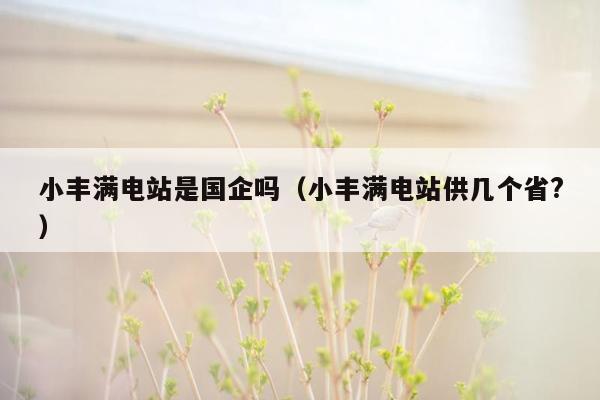 小丰满电站是国企吗（小丰满电站供几个省?）