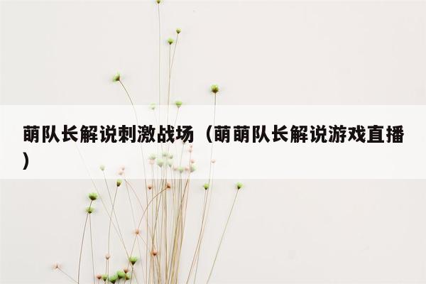 萌队长解说刺激战场（萌萌队长解说游戏直播）