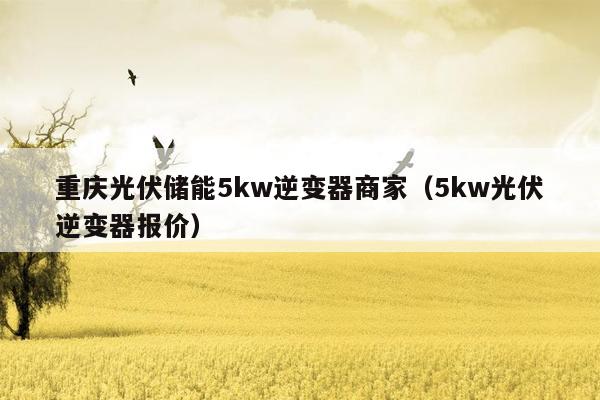 重庆光伏储能5kw逆变器商家（5kw光伏逆变器报价）