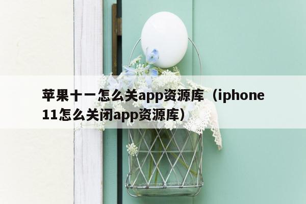 苹果十一怎么关app资源库（iphone11怎么关闭app资源库）