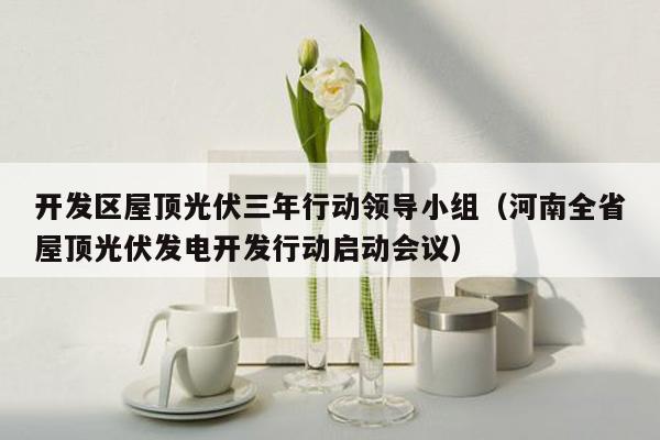 开发区屋顶光伏三年行动领导小组（河南全省屋顶光伏发电开发行动启动会议）